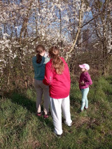 IMG_20250404_174127.jpg