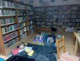 IMG_20250404_204428.jpg