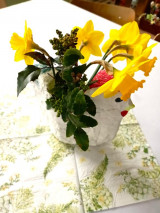 IMG_20260328_162808.jpg